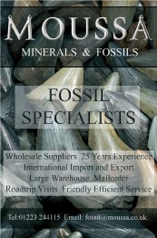 moussa minerals and fossils