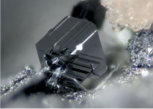 nikon small world mineral