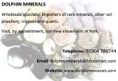 dolphin-minerals